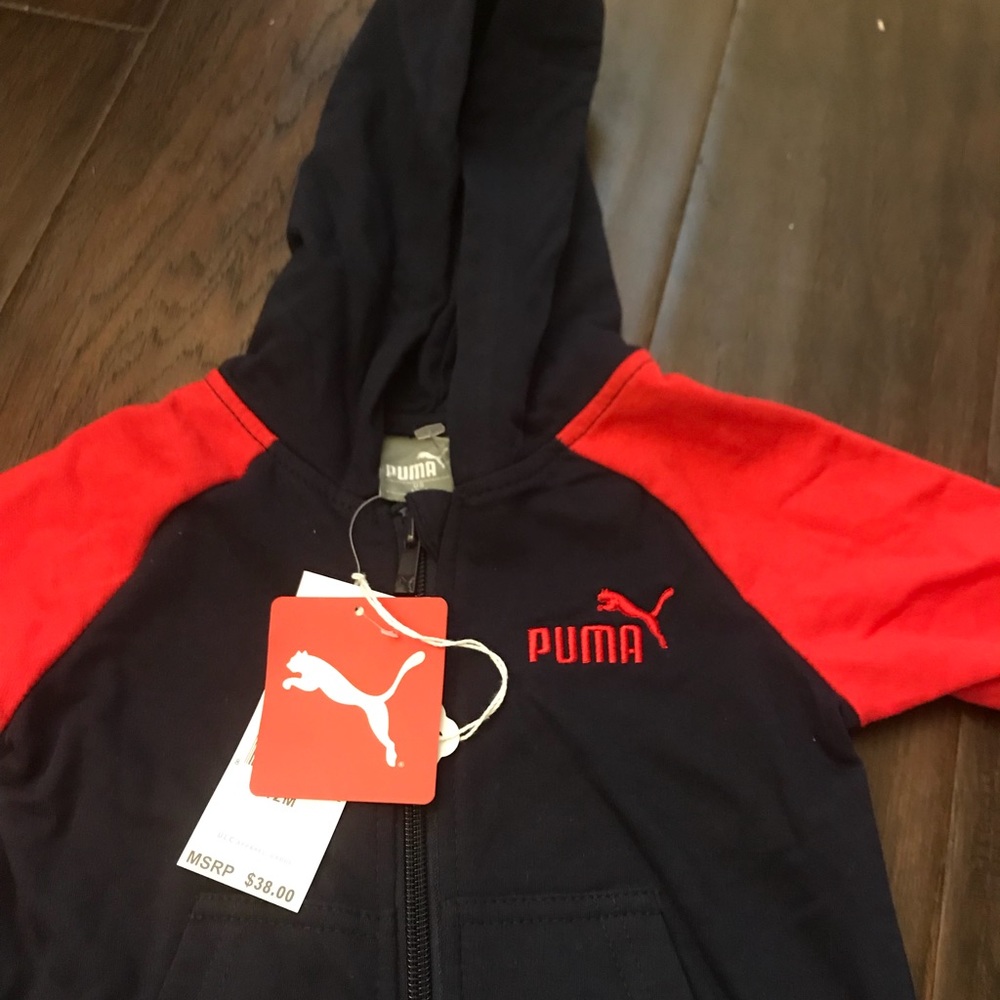 Puma - Picture 2 of 3